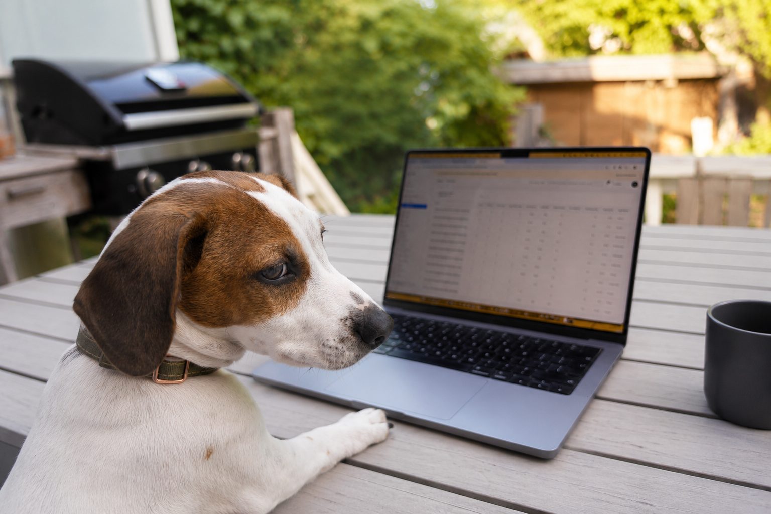 Waarom de beste software niet alleen door developers wordt gebouwd
